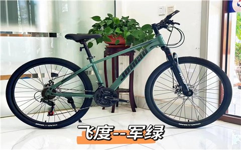 飞度 单速——Fit