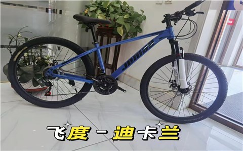 飞度 单速——Fit