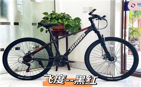 飞度 单速——Fit