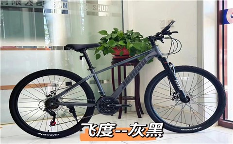 飞度 单速——Fit