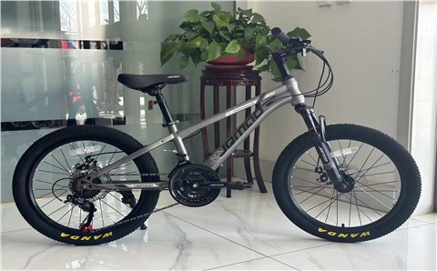 悦动2.0 变速——Yuedong 2.0 variable speed