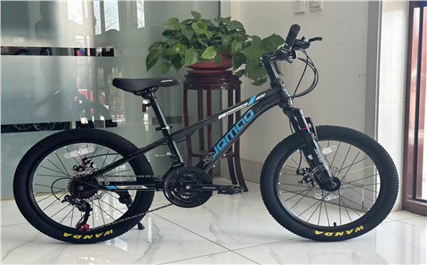 悦动2.0 变速——Yuedong 2.0 variable speed