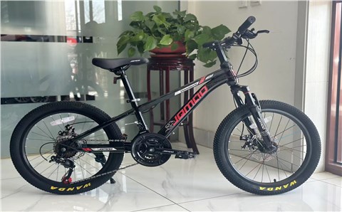 悦动2.0 变速——Yuedong 2.0 variable speed