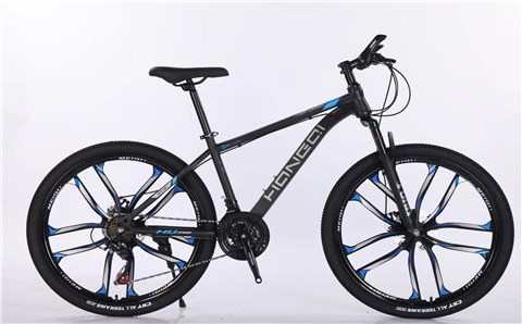 仿铝一体轮——Imitation aluminum integrated wheel