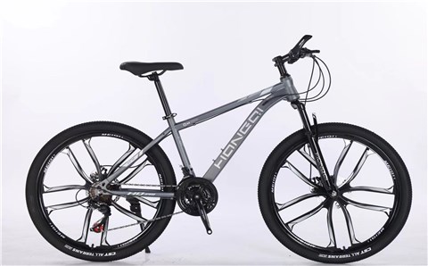 仿铝一体轮——Imitation aluminum integrated wheel