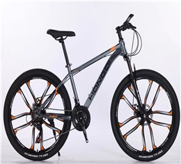 仿铝一体轮——Imitation aluminum integrated wheel